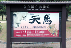 『天馬　－シルクロードを翔る夢の馬－』展　レポート【奈良国立博物館】