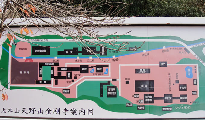 天野山金剛寺　境内図