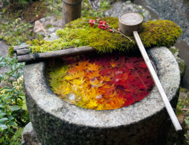 【京都】“楊谷寺（柳谷観音）”秋の花手水と奥之院　レポート